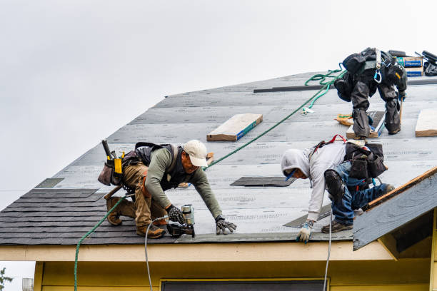 Professional Storm Damage Roof Repair technician working in Chichester, NH